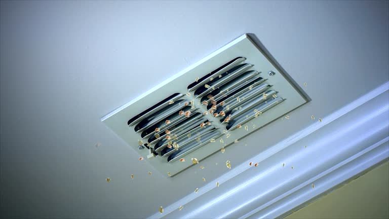 Best Residential Air Duct Cleaning  in Middletown, IN